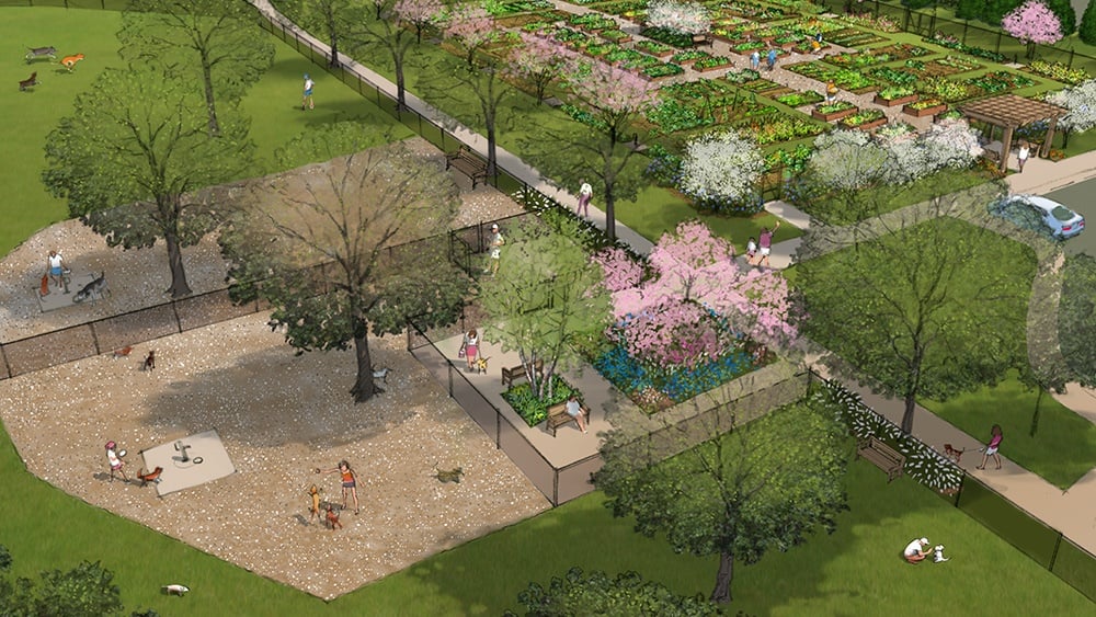 Junction City Dog Park illustration of dog park